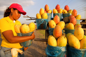 05-01-cnpq-lanca-edital-para-fomentar-estudos-sobre-agroecologia
